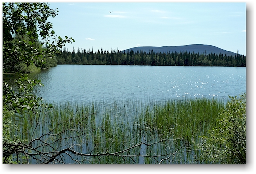 ufer des pyhaejaervi bei pyhaejaerven autiotupa im nationalpark pallas-yllaestunturin, FI