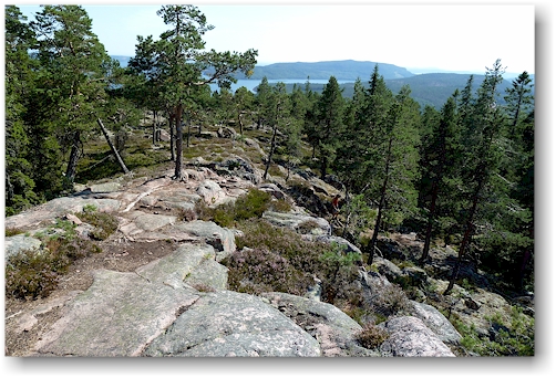 blick vom slattdalsberget suedwaerts im skuleskogens nationalpark