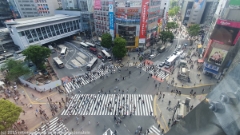 shibuya crossing in tokyo