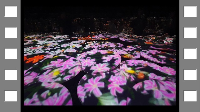 teamLab Borderless in azabudai hills, tokyo (film)