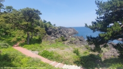 mit holzschnitzel und roter farbe bedeckter abschnitt des jogasaki coastal trail