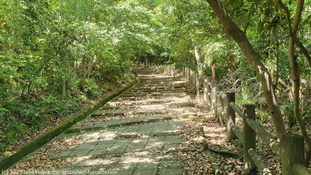 weg im verlauf des aufstiegs zum mount shiroyama in kagoshima