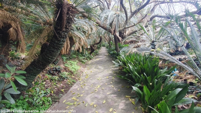 weg durch den nagasakibana parking garden