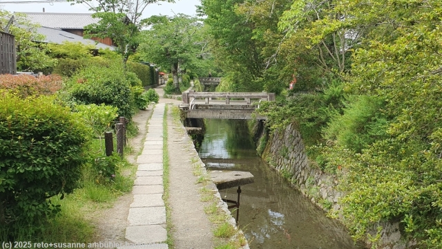 philosopher's walk in kyoto