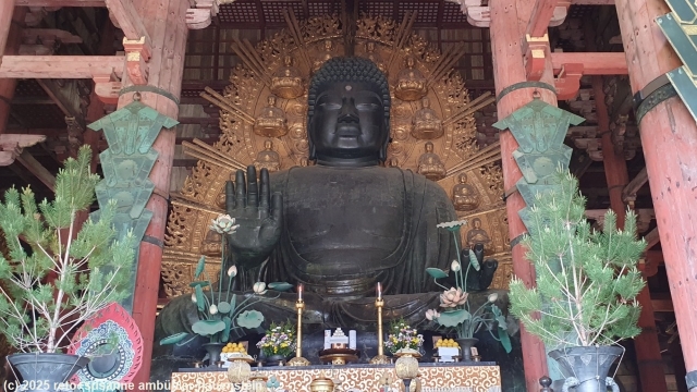 daibutsu beim todaiji tempel in nara