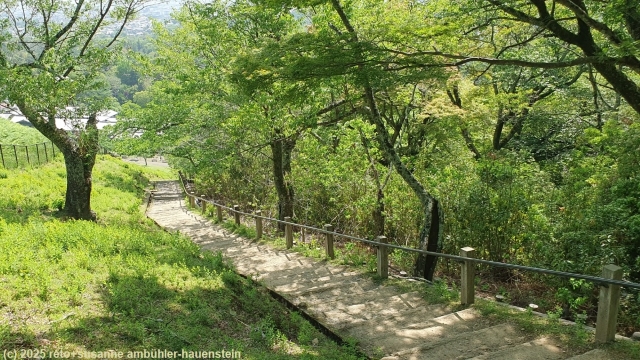 treppe zum aussichtspunkt auf dem huegel im nara park