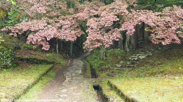 steinplatten im verlauf des kumano kodo