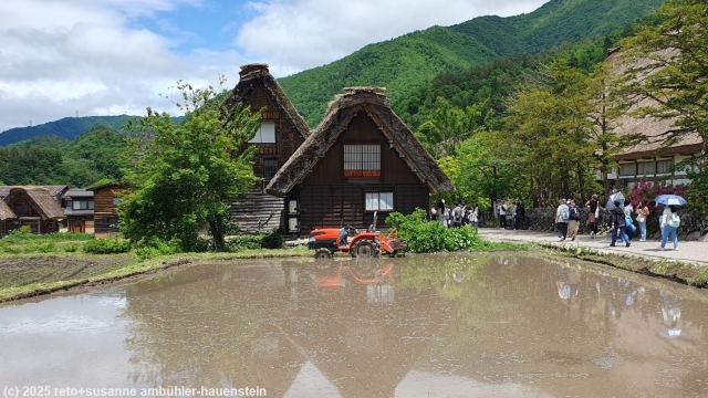 gebaeude mit reisfeld im ogimachi village bei shirakawa-go