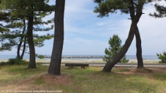 huebscher platz zum picknicken an der iwasehama beach bei toyama