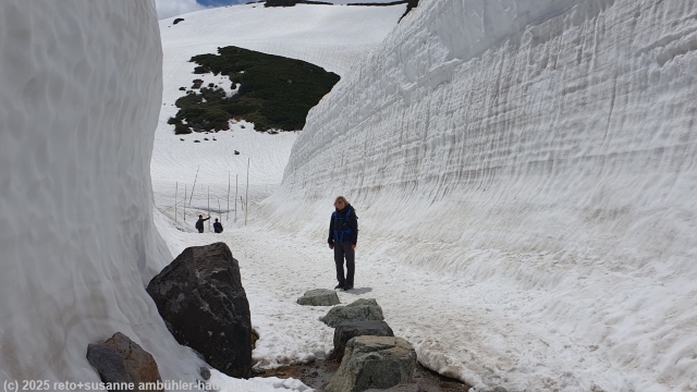 schneemauern neben dem wanderweg bei murodo entlang der alpine route