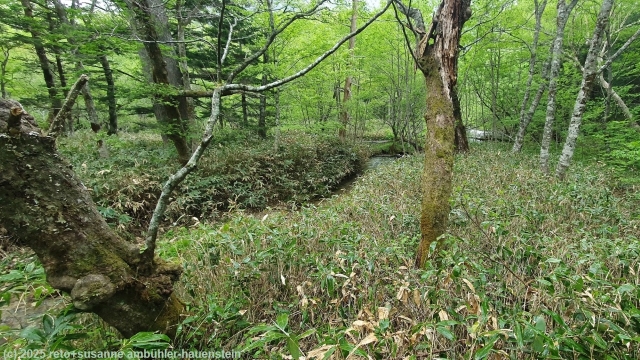 azusa river trail bei kamikochi