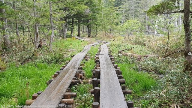 wandersteg im verlauf des azusa river trail bei kamikochi