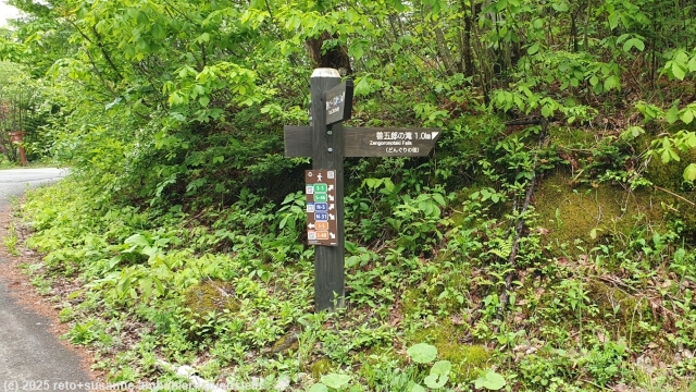 wegweiser am dongurinomichi in norikura