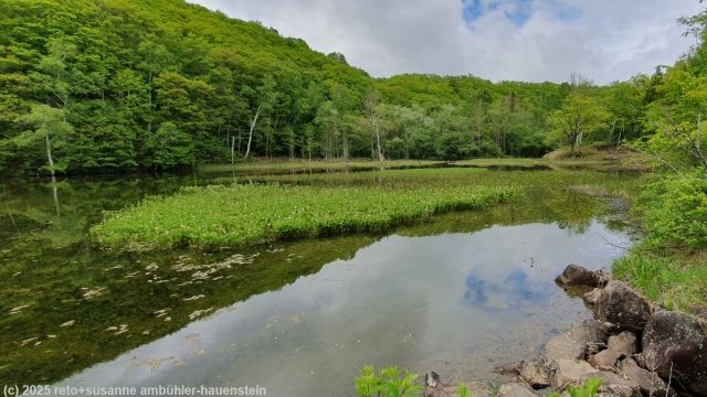 azami pond in norikura