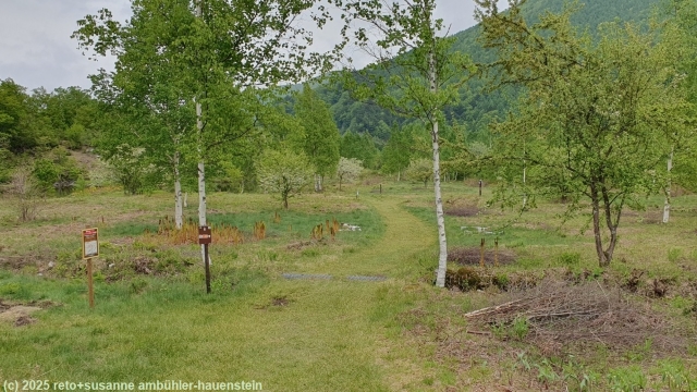 "detour trail" in norikura