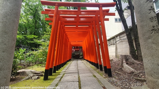 tore beim wakamiya hachimansha schrein in nagoya