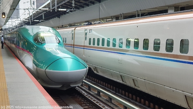 shinkansen im bahnhof tokyo