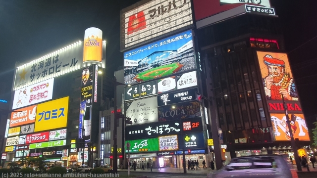 naechtliche tsukisamu dori in sapporo