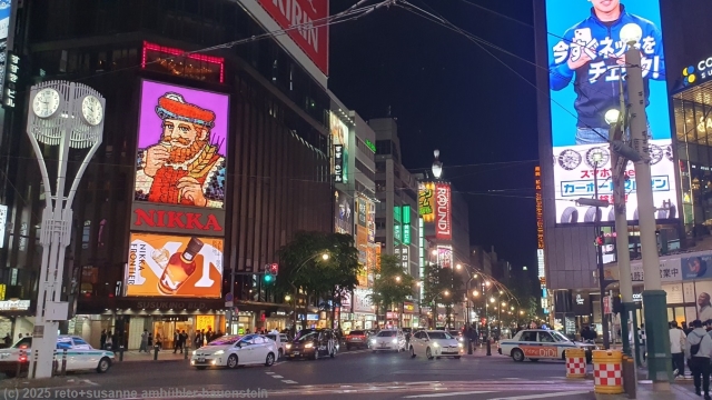 naechtliche tsukisamu dori in sapporo