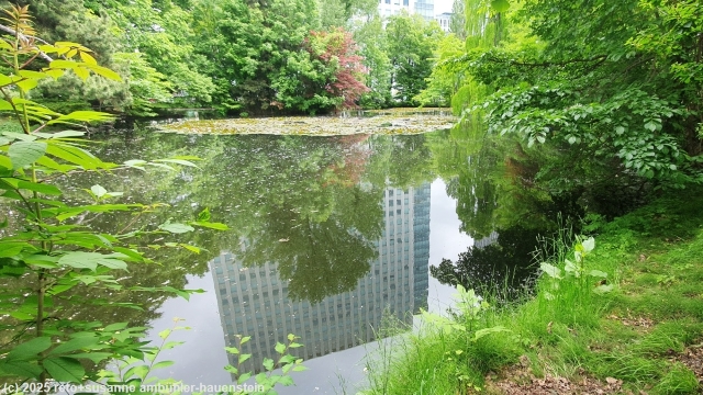 teich im garten des ehemaligen hokkaido government office building in sapporo