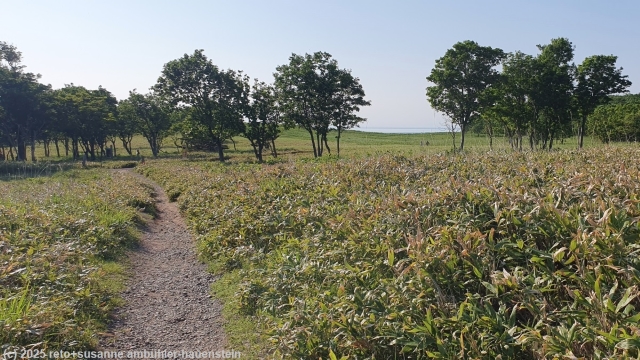 furepe-no-taki trail im shiretoko nationalpark