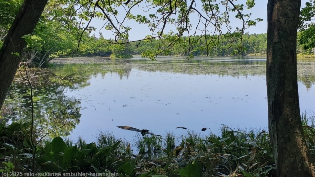 sanko lake (3rd lake) entlang des goko lakes trail im shiretoko nationalpark