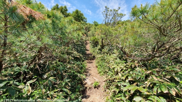 wanderweg skyline promenade im akan-mashu nationalpark