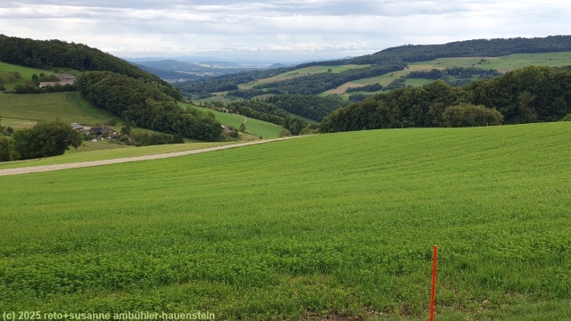 wenig verbaute landschaft bei chillholz zwischen linn und der staffelegg