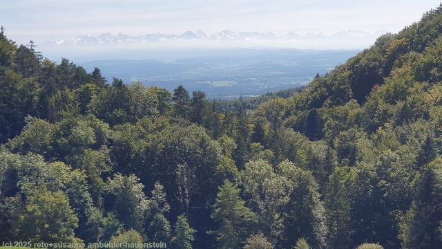 blick von tiefmatt auf die berner alpen mit eiger, moench und jungfrau