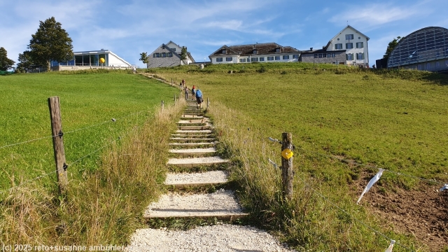 treppe zum hotel weissenstein