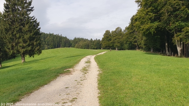 flacher beginn richtung hinterer weissenstein