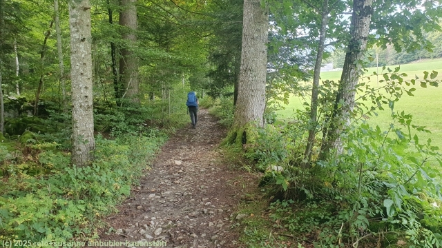wanderweg im val de ruz