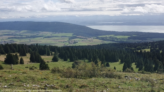 blick von der krete rochers bruns auf den neuenburgersee und den murtensee