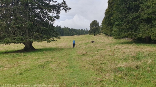 wanderweg ueber wiesen bei joux des lapies