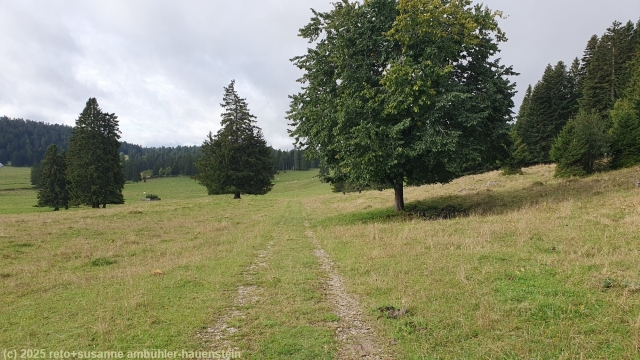 wanderweg bei bois de la calame