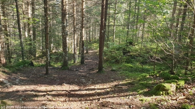 wanderweg bei petra felix