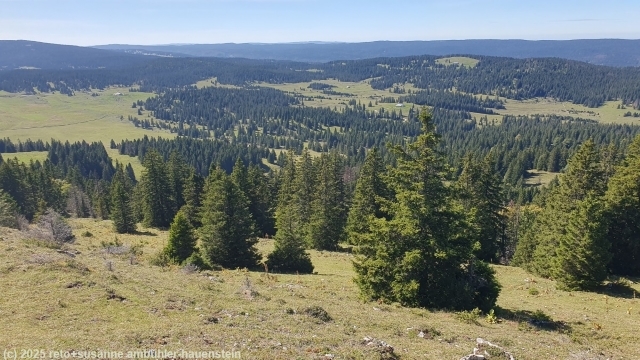 aussicht vom grand cunay richtung frankreich