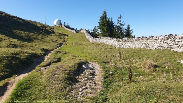 aufstieg zum gipfel des la dole