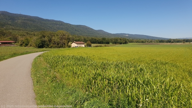 blick zurueck von la rippe auf den jura