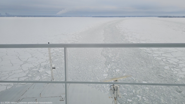 die finnlady pfluegt sich durch den zugefrorenen golf von finnland