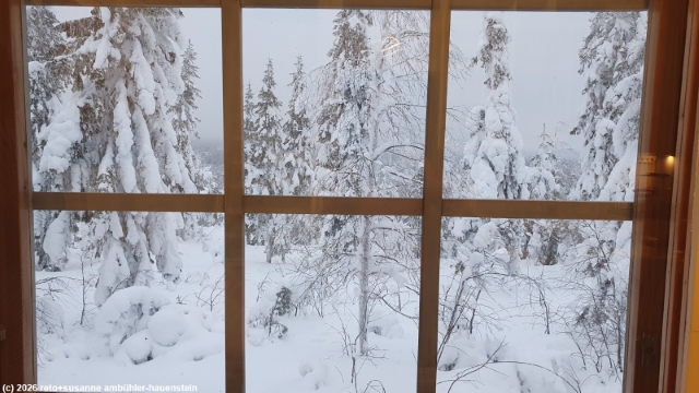 blick aus dem wohnzimmer-fenster unserer unterkunft syoete luppomaja in pikku-syoete