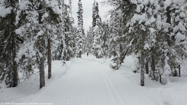 loipe pytkyn latu bei iso-syoete