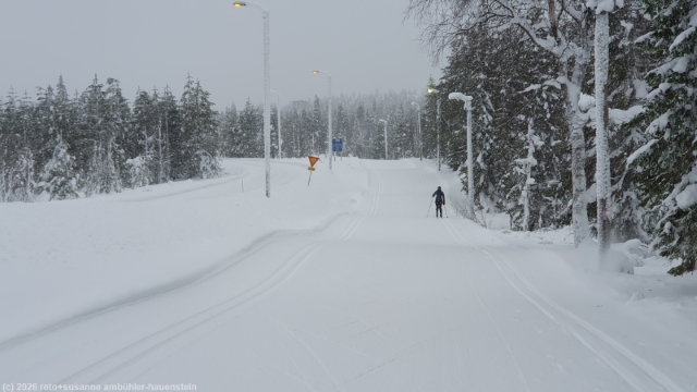 loipe von iso-syoete nach pikku-syoete entlang der strasse vaelihuikonen