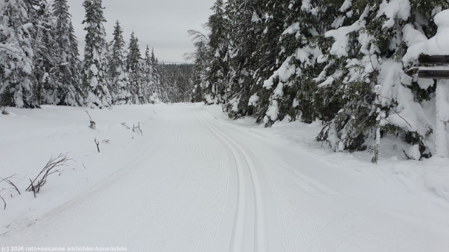 abfahrt im verlauf der loipe von pikku-syoete zur koiratupa