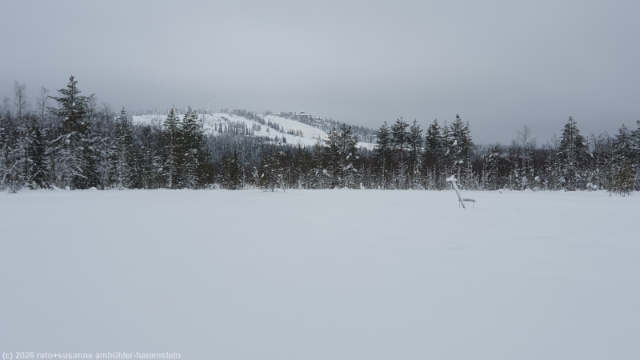 blick richtung iso-syoete von der loipe von pikku-syoete zur koiratupa