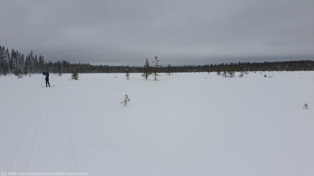 loipe von pikku-syoete zur koiratupa