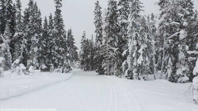 loipe ahmatuvan latu im syoete nationalpark