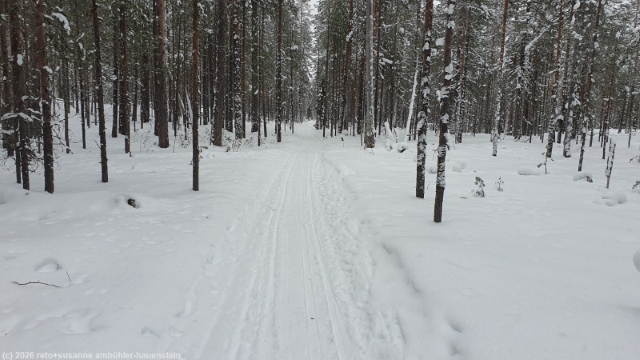talvipyoeraeilyreitti im hossa nationalpark