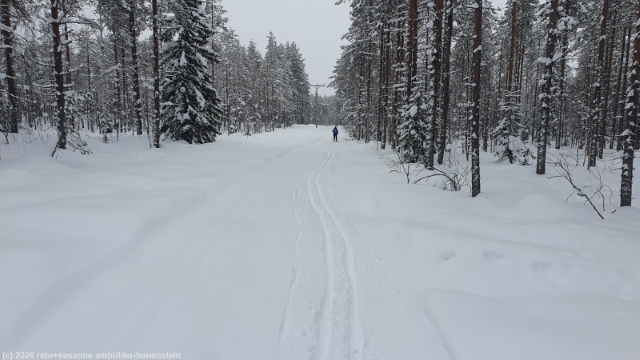 loipe hossan yrittaejien latu