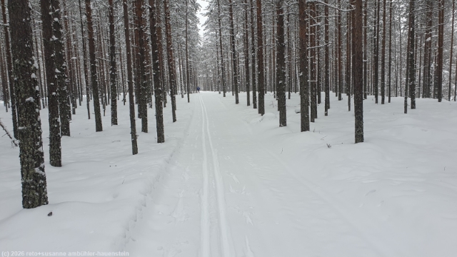 loipe ueber die halbinsel hossanniemi bei hossa